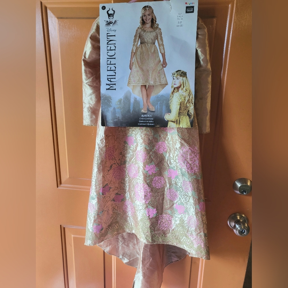 Children's Disney Maleficent Aurora Costume